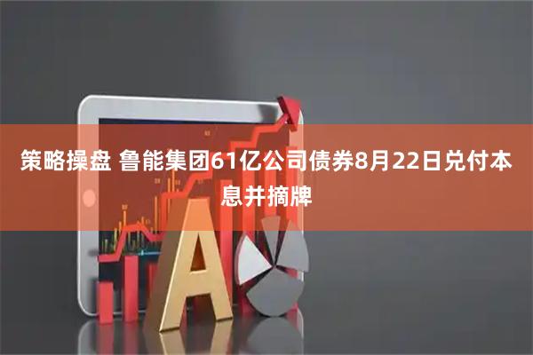 策略操盘 鲁能集团61亿公司债券8月22日兑付本息并摘牌