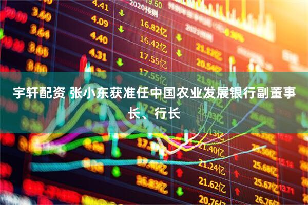 宇轩配资 张小东获准任中国农业发展银行副董事长、行长
