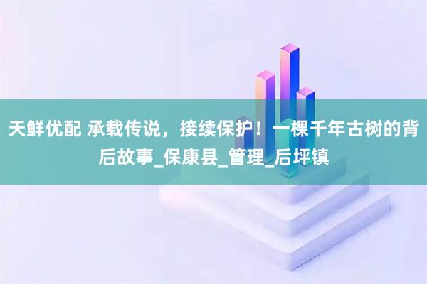 天鲜优配 承载传说，接续保护！一棵千年古树的背后故事_保康县_管理_后坪镇