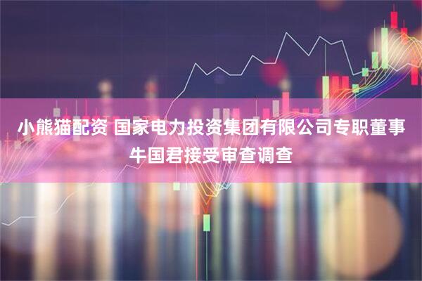 小熊猫配资 国家电力投资集团有限公司专职董事牛国君接受审查调查