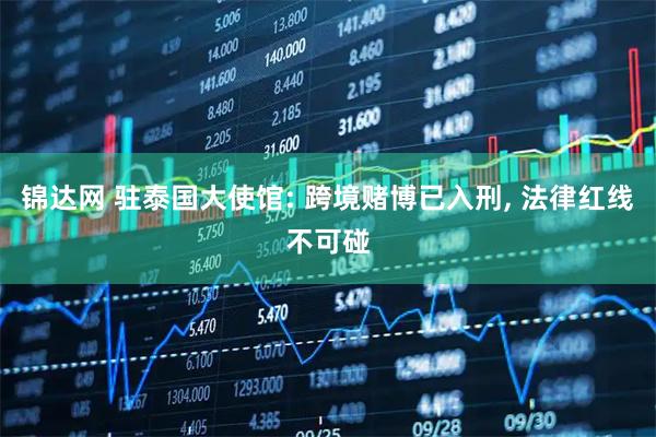 锦达网 驻泰国大使馆: 跨境赌博已入刑, 法律红线不可碰