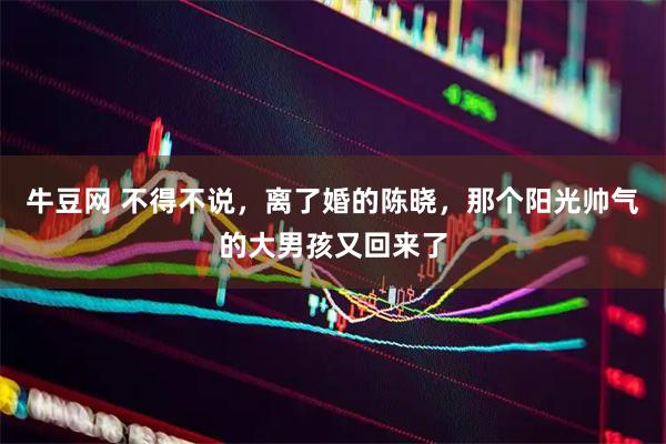 牛豆网 不得不说,离了婚的陈晓,那个阳光帅气的大男孩又回来了