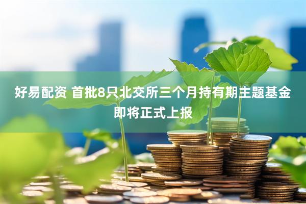 好易配资 首批8只北交所三个月持有期主题基金即将正式上报