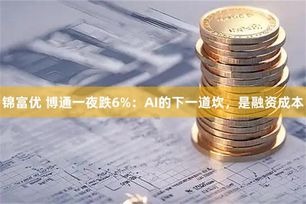锦富优 博通一夜跌6%：AI的下一道坎，是融资成本