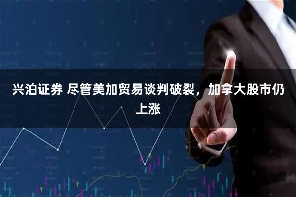 兴泊证券 尽管美加贸易谈判破裂，加拿大股市仍上涨